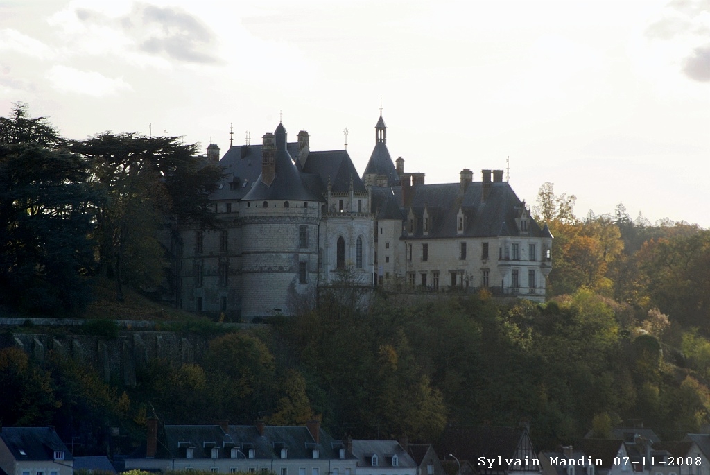 DSC_0247.JPG