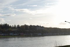 DSC_0241