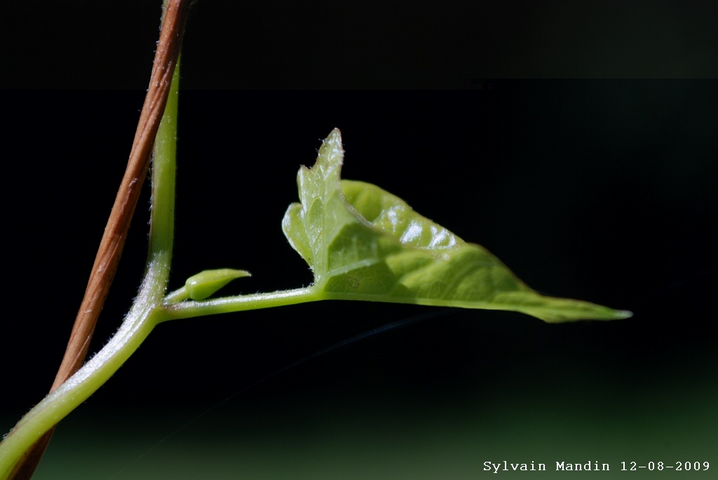 DSC_5752.JPG