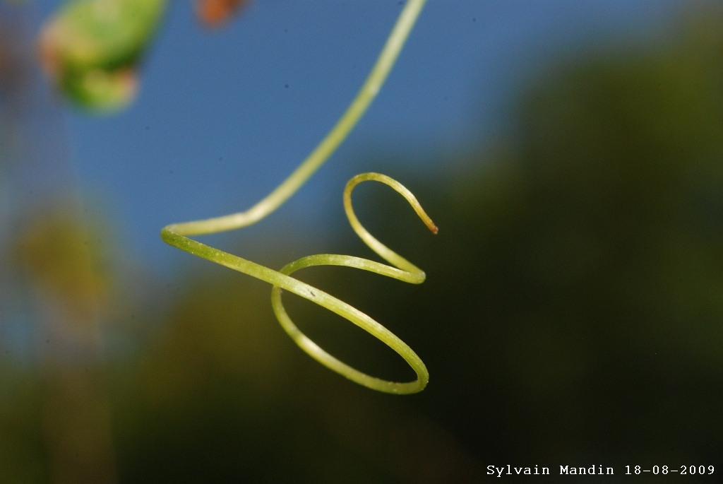 DSC_6028.JPG