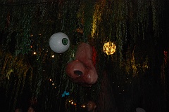tours_sur_loire_2009